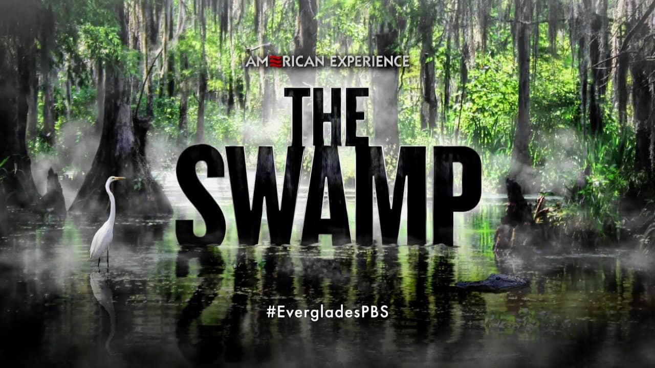 The Swamp backdrop