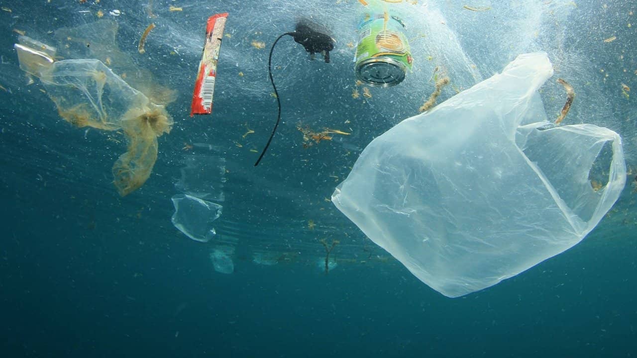A Plastic Ocean backdrop
