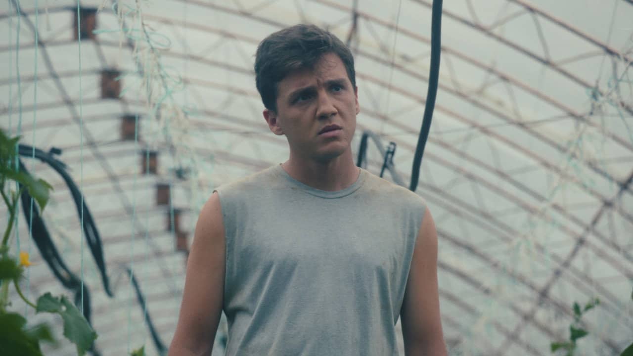 Greenhouse backdrop