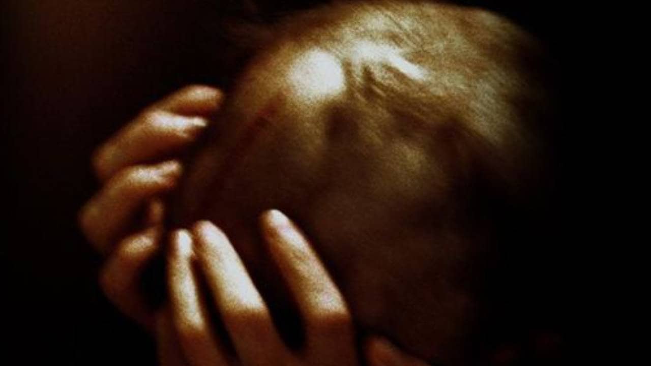 Mémoire morte backdrop