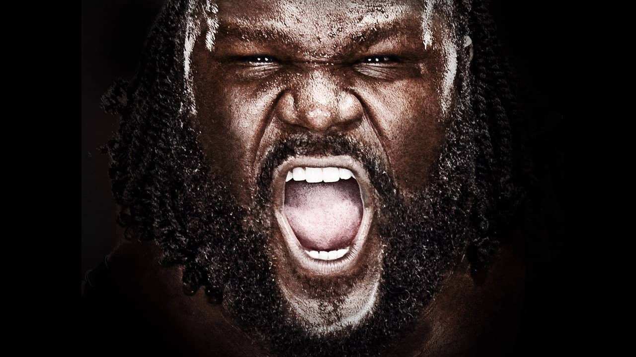 WWE Vengeance 2011 backdrop