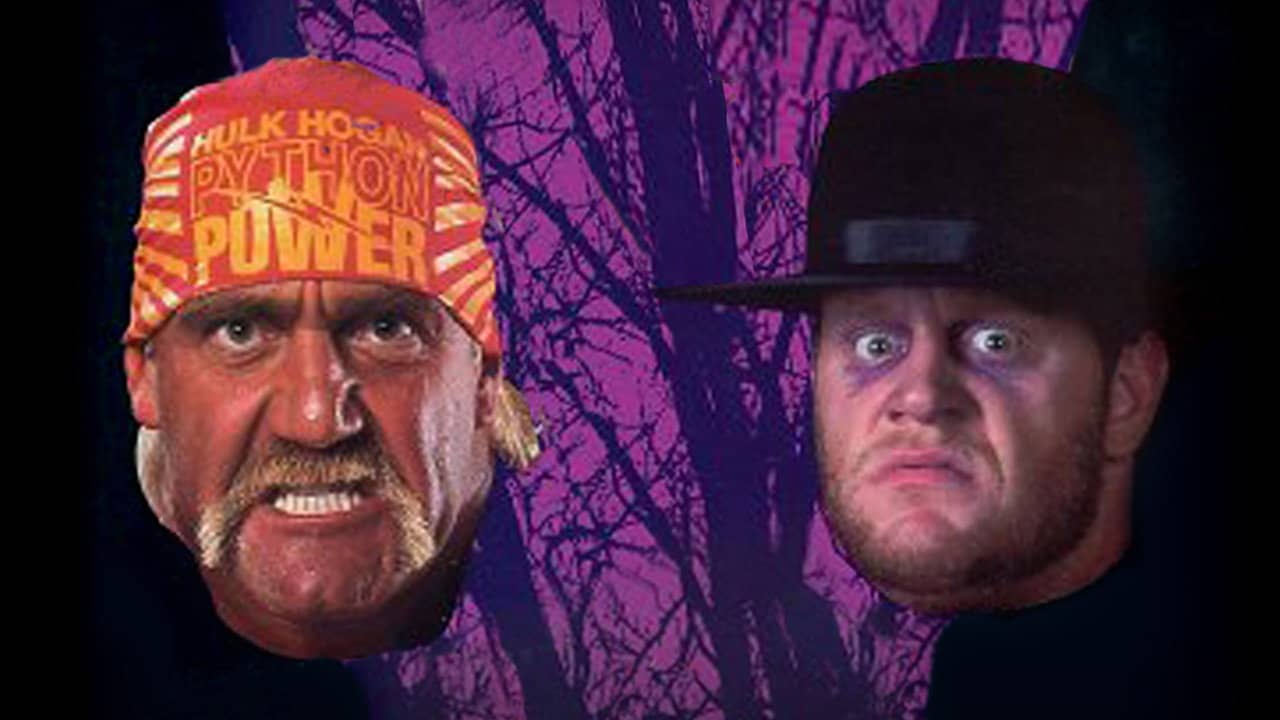 WWE Survivor Series 1991 backdrop