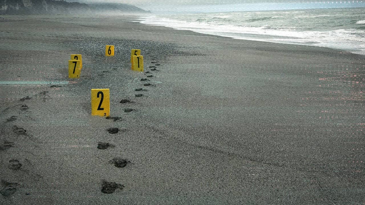 Murdered: The Baby on the Beach backdrop