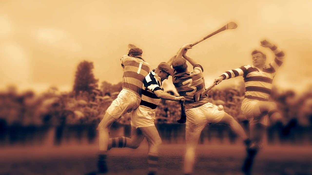Christy Ring - Man & Ball backdrop