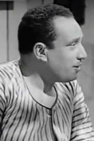 Hassan Bayoumi