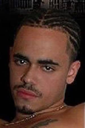 Latin Stallion