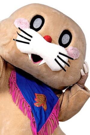 Pokotan