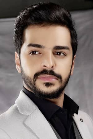Shuaifan Mohammad Al Otaiby