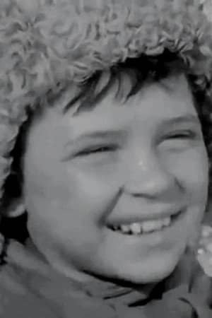 Viktor Karmalitov