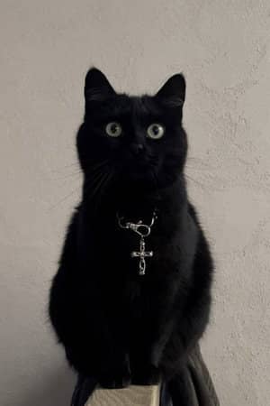 Jonsi
