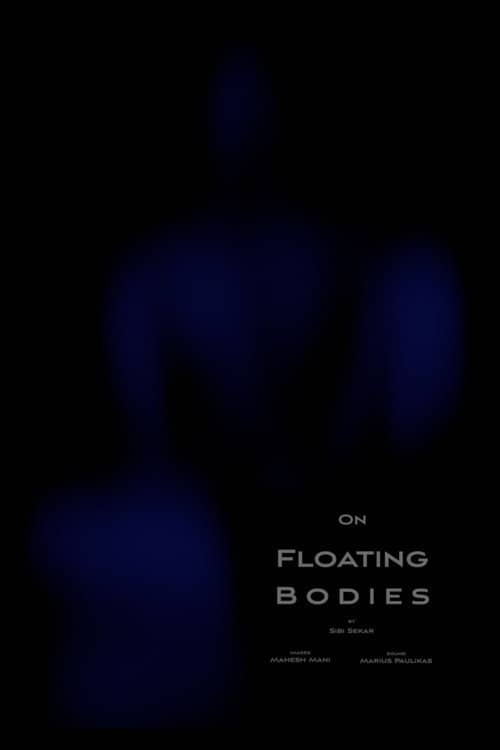 On Floating Bodies
