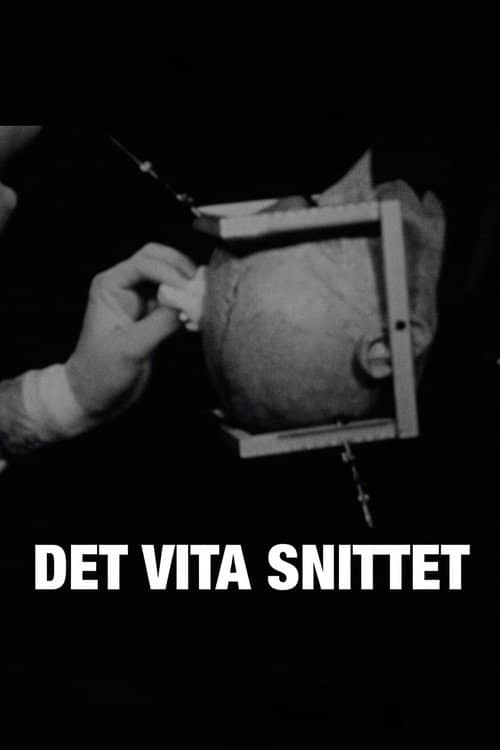Det vita snittet