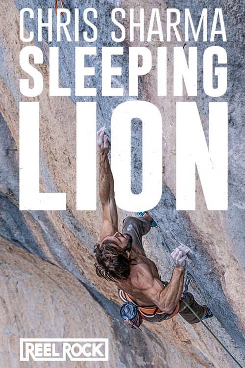 Sleeping Lion