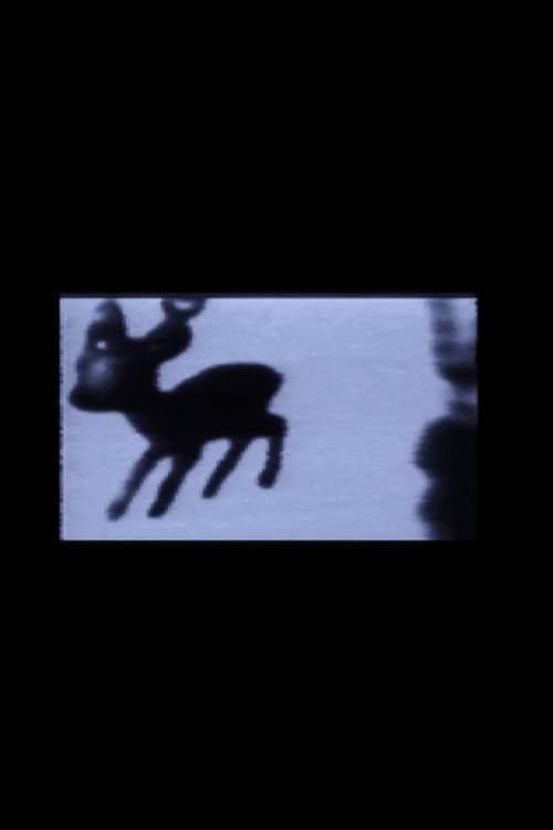 Where’s Bambi?