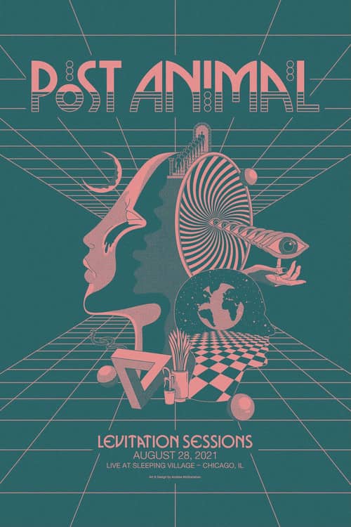 Post Animal - Levitation Sessions