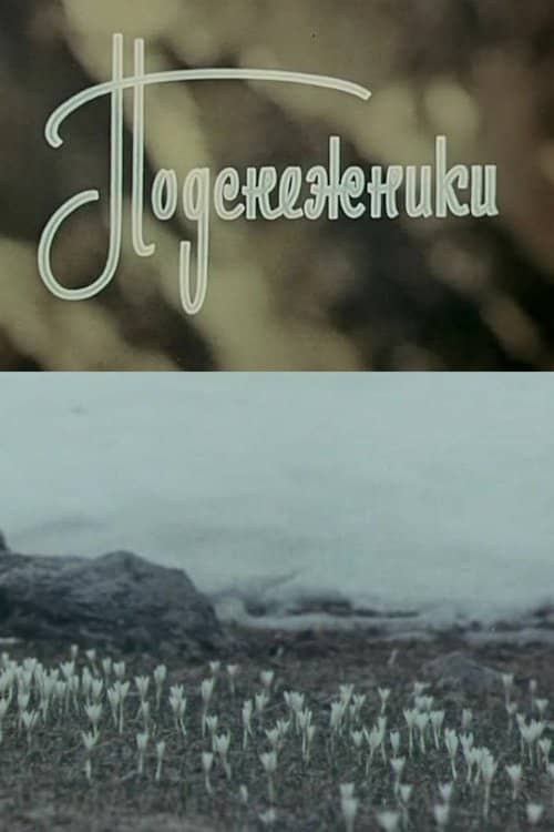 Snowdrops