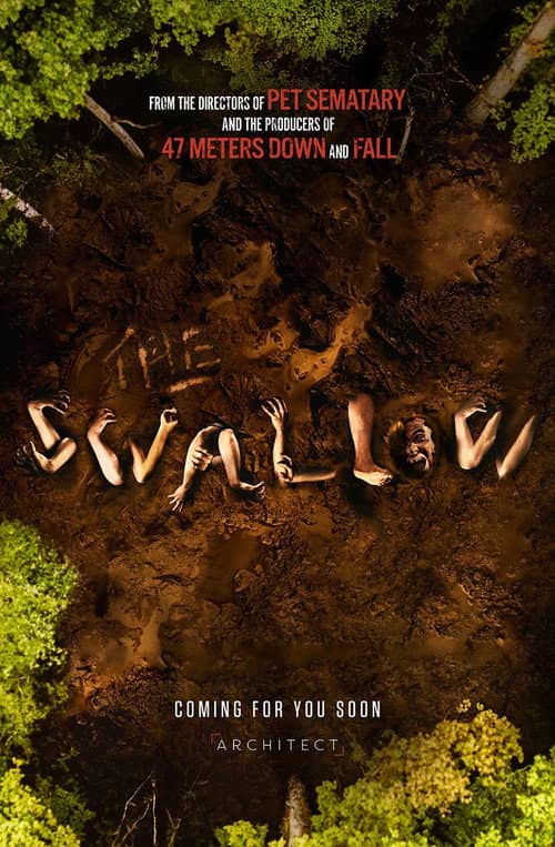 The Swallow