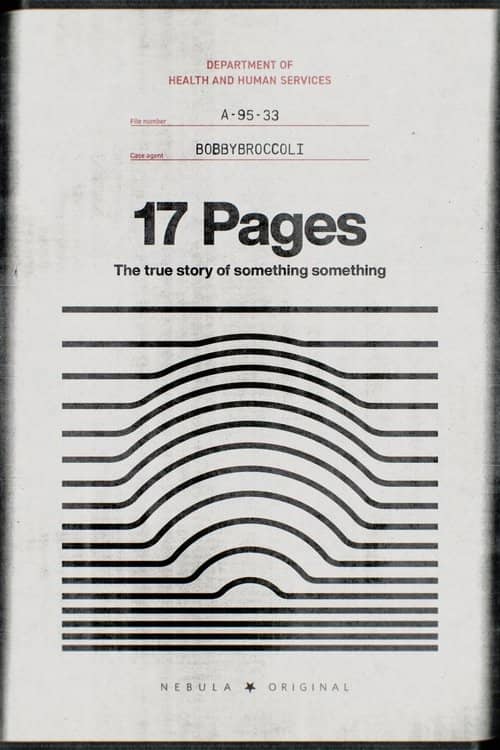 17 Pages