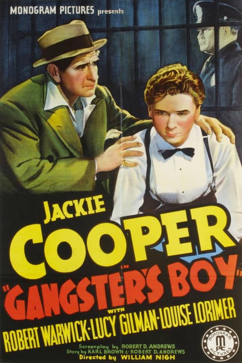 Gangster's Boy