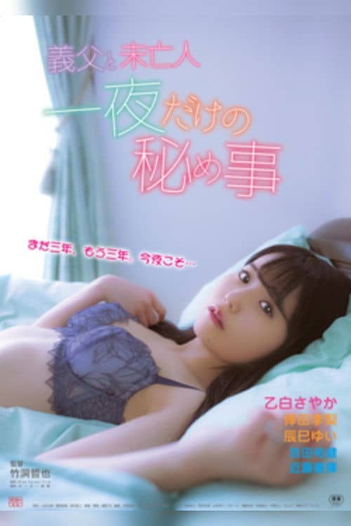 The Stepfather and the Widow: A One Night Secret