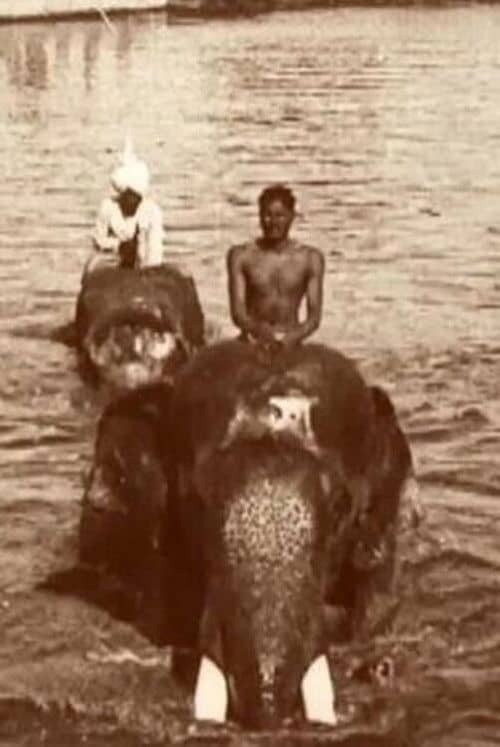 Edward Prince of Wales' Tour of India: Indore, Bhopal, Gwalior and Delhi