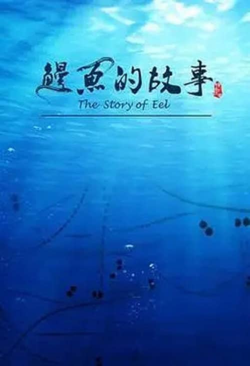 鳗鱼的故事