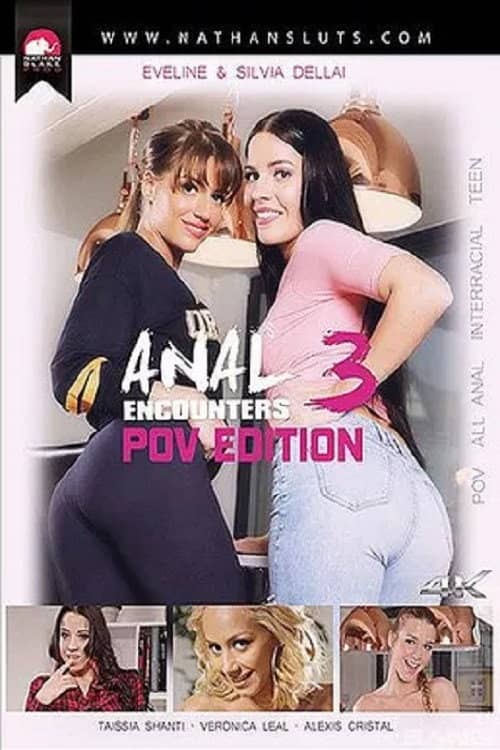 Anal Encounters 3: POV Edition