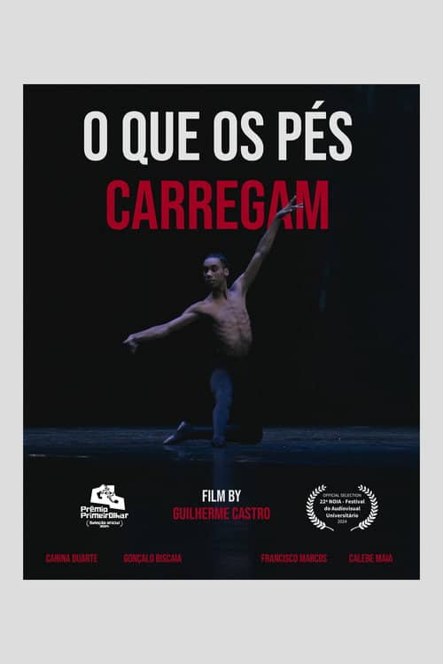 what do feet carry?