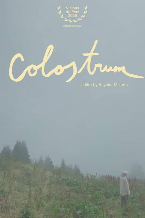 Colostrum