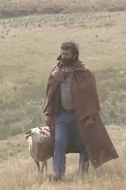 Shepherd and beyond
