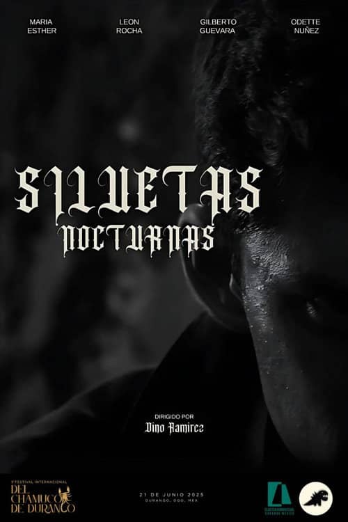 SILUETAS NOCTURNAS