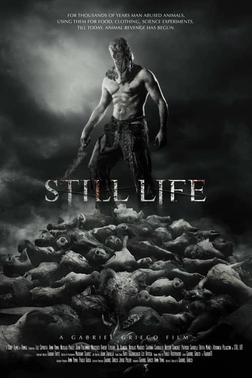 Still Life