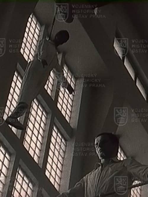 Man in a Great Hall