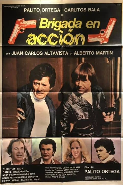 Brigada en acción