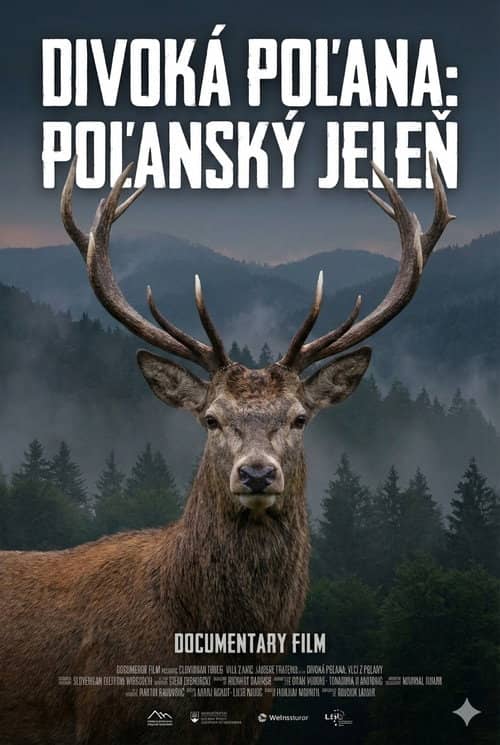 Divoká Poľana: Poľanský jeleň