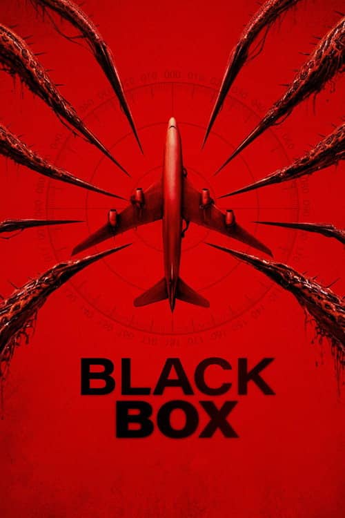 Black Box (Flight 298)