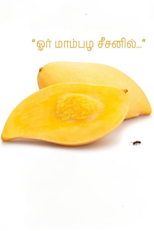 Or Mambala Seasonil
