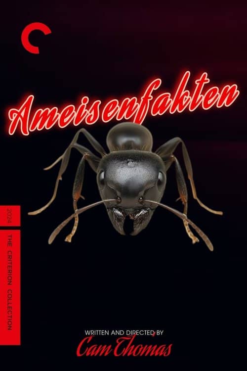 Ant Facts
