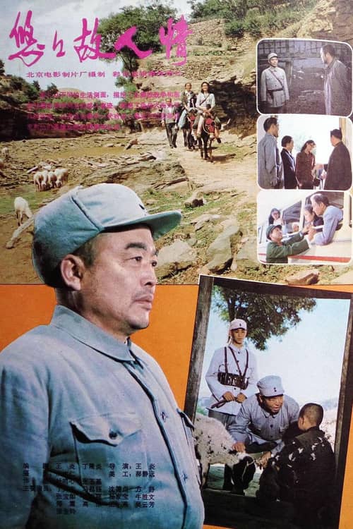悠悠故人情