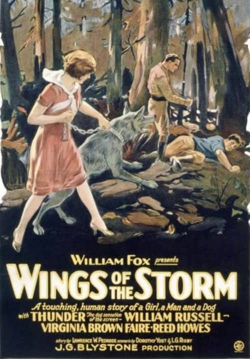 Wings of the Storm