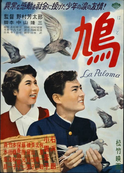 The Pigeon