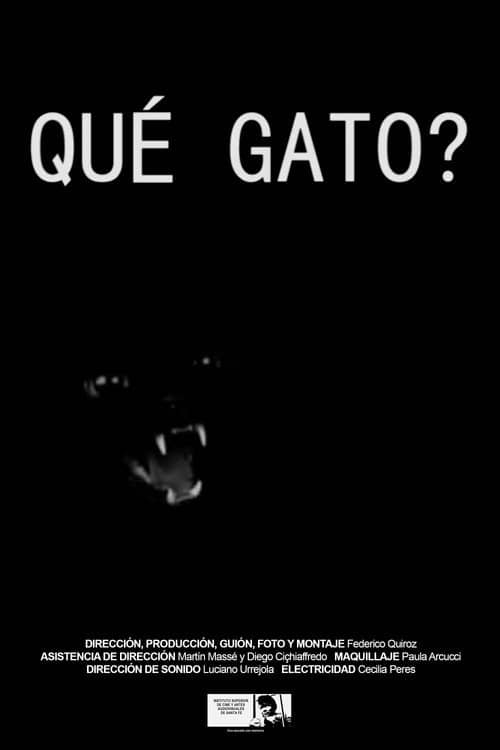 Qué gato?
