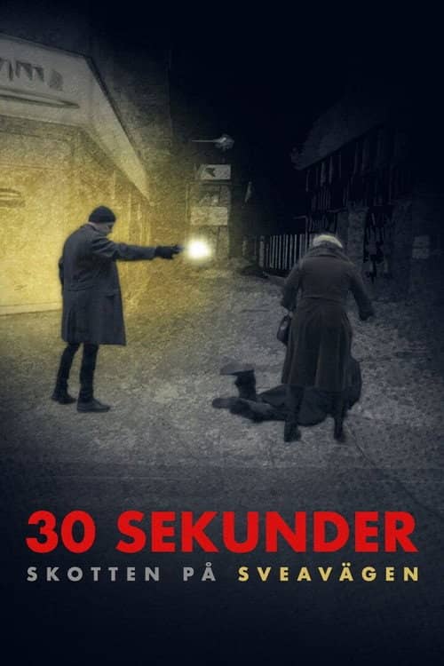 30 sekunder: Skotten på Sveavägen