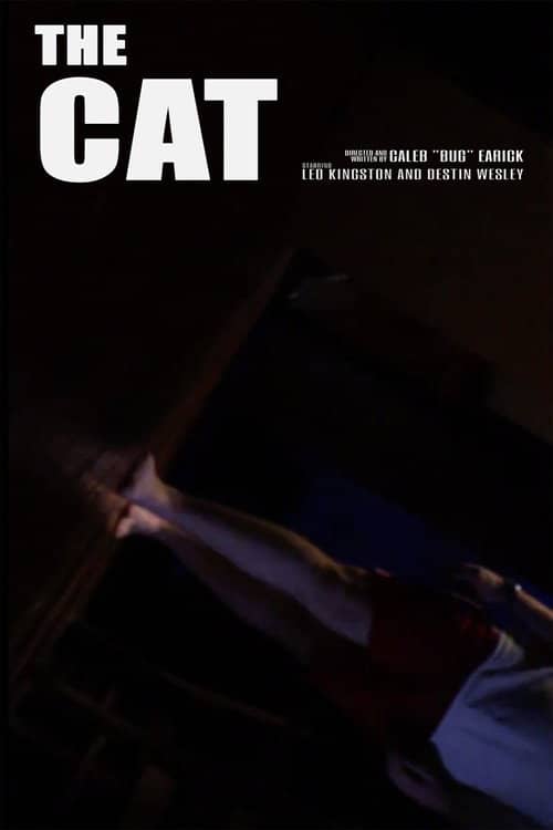The Cat