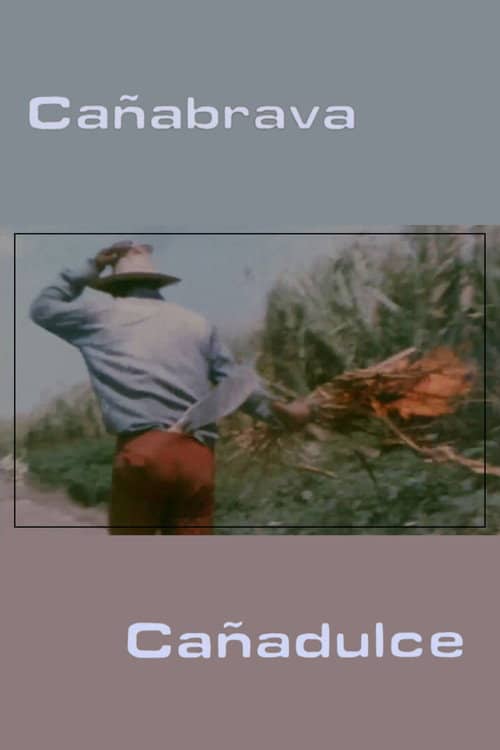 Cañabrava Cañadulce