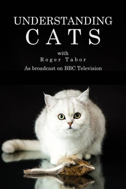 Understanding Cats