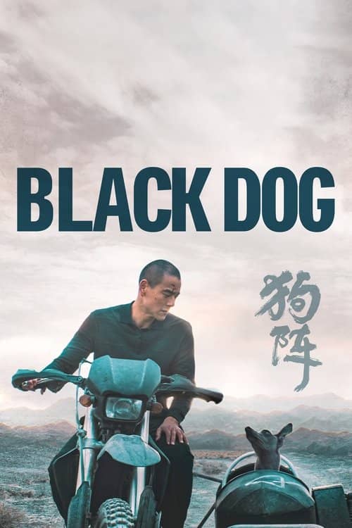 Black Dog