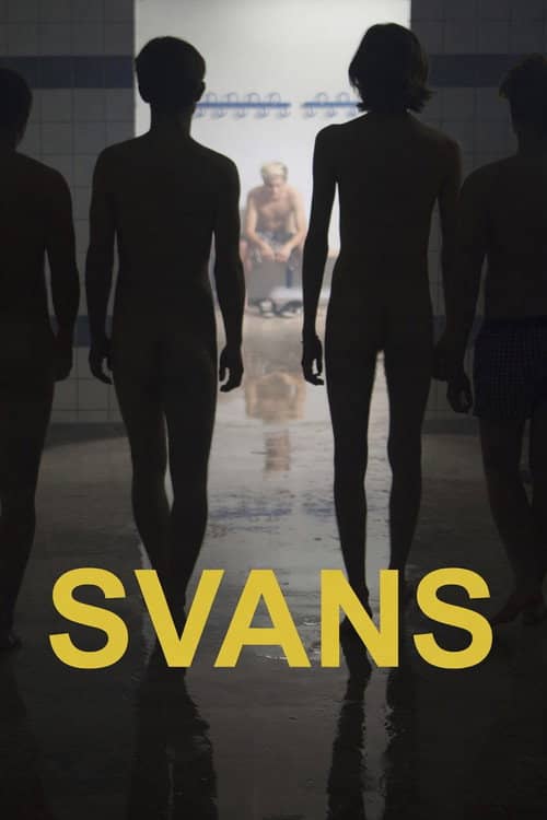 Swans