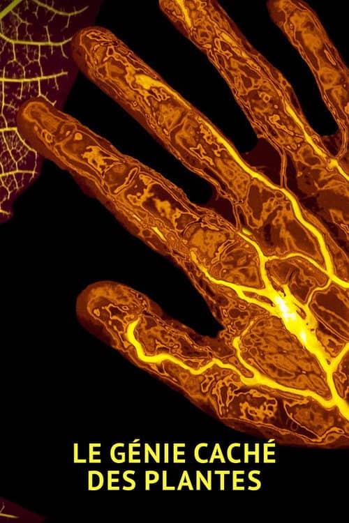 The amazing abilities of plants