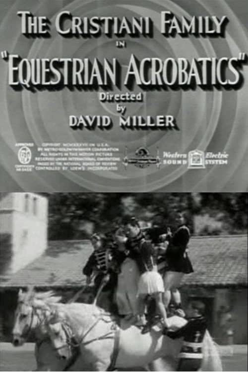Equestrian Acrobats
